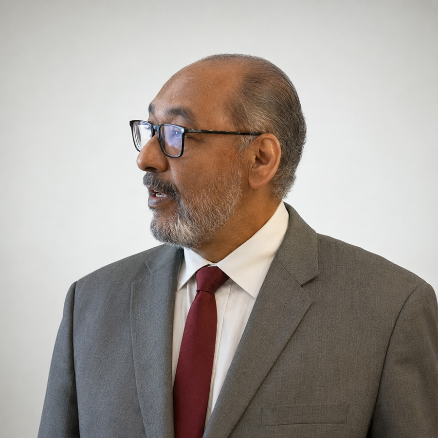 Portrait of Hércules de Moura
